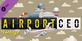 Airport CEO Vintage