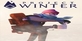 Project Winter PS4
